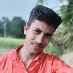 হাসিবুল ইসলাম শান্ত